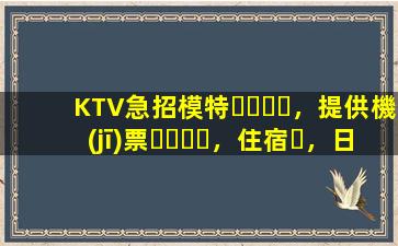 KTV急招模特，提供機(jī)票，住宿，日結(jié)